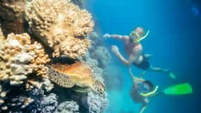 From Cairns: Green Island Snorkelling and Glass Bottom Boat