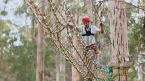 Pemberton: 2.5 Hour Ultimate Pass with Ziplines & High Ropes