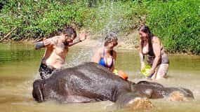Khao Lak: Elephant Sanctuary Guided Tour