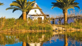 Cullera: History, Beach, and the boat trip to the Albufera