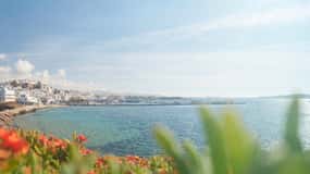 Van Naxos: dagtrip naar Delos en Mykonos per catamaran