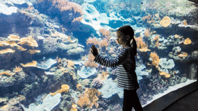 Paris: Aquarium Entry Ticket & Self-Guided Eiffel Tower Tour
