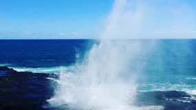 Kauai: Tour di un giorno del canyon di Waimea e delle cascate