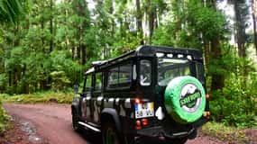 São Miguel Island: Full Day Furnas and Furnas Lake Tour