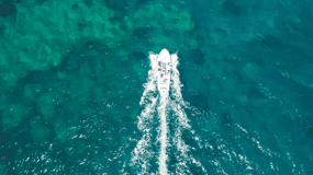 Syracuse: Pillirina, Ortigia, and Sea Caves Tour by Boat