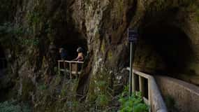 La Palma: Springs Marcos y Cordero Guided Trekking Tour