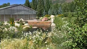 Aspen's Off the Beaten Path Scenic Walking Tour