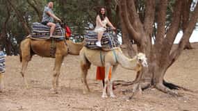Desde Agadir o Taghazout: Excursión en Camello y Observación de Flamencos