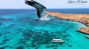 From Al-Seeb: Dimaniyat Islands Boat Trip with Snorkeling