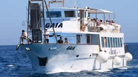 From Palermo: Bus & Cruise to Favignana & Levanzo with Lunch