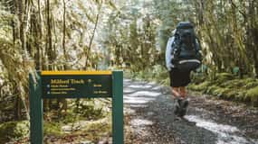 Self-Guided Milford Track Day Walk from Lake Te Anau
