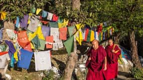 Guided Walk, India's Own Mini Tibet at Mcleodganj