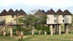 Overnight salt Lick Safari from Mombasa