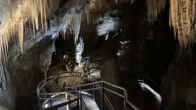 Hobart : Grottes de Hastings, promenade aérienne de Tahune et visite de la vallée de Huon
