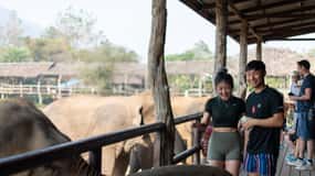 Kanchanaburi: Elephant Sanctuary & Erawan Waterfall Tour