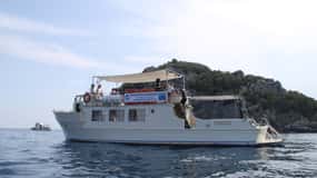 Bergeggi Island: Boat trip with a swimming stop