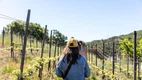 Malibu: Guided Vineyard Hike with Photo Stops and Wine