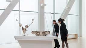 Québec : billet d'entrée au Musée national des beaux-arts du Québec (MNBAQ)