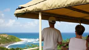 Basseterre: St. Kitts Scenic Railway Day Trip with Drinks