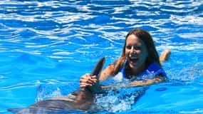 Passeio de natação com golfinhos - Aquário Interativo de Cancun