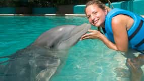 Cancun: Nadar com golfinhos num aquário interativo