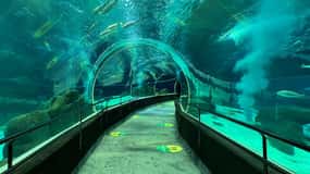 Rio de Janeiro: Marine Aquarium Entry Tickets