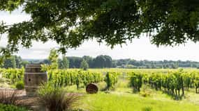 At the gates of Toulouse: Gourmet Tour
