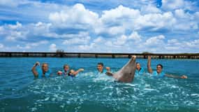 Costa Mujeres : Nager avec les dauphins