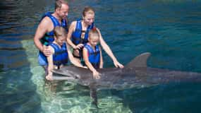 Puerto Morelos: Swim with dolphins Primax