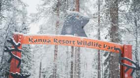 Dag i Ranua Dyrepark: Besøg de arktiske dyr