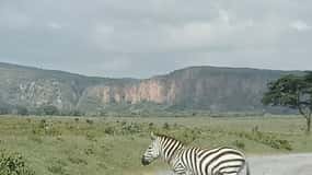 DAY TOUR- LAKE NAIVASHA AND HELL'S GATE PARK-WITH PARK FEES