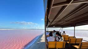 Las Coloradas: Safari po Różowych Jeziorach