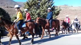 South Africa: 2-Day Lesotho Pony Trek & 4x4 Sani Pass Ride