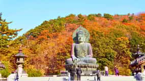 From Seoul: Seoraksan Maple Mountain with Cable Car