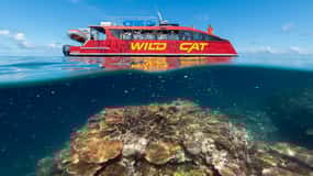 Airlie Beach: Outer Barrier Reef Snorkeling Day Trip