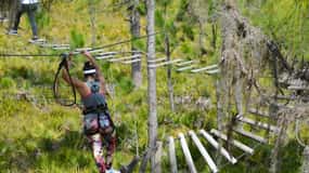 Bradenton: Adventure Course Entry Ticket