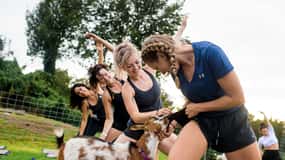 Maui Goat Yoga with Miniature Goats