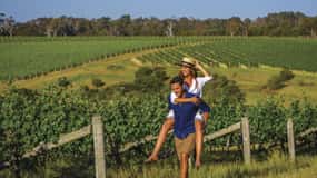 Vale de Hunter: Visita ao vinho com 3 degustações e almoço no jardim