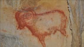 Sarlat : Private Tour to an Original Prehistoric Cave