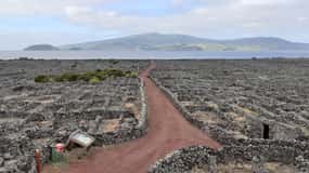 Touren auf der Insel Pico - Kultur- und Naturlandschaft