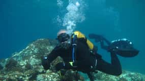 Halkidiki:Diving for certified divers in Kassandra
