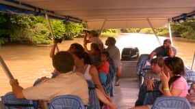 Palo Verde National Park: Wildlife Boat Tour