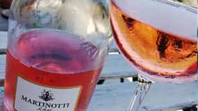 Oltrepò En Rose - Vinprovning