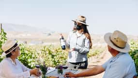 Tasting and tour through the vineyard