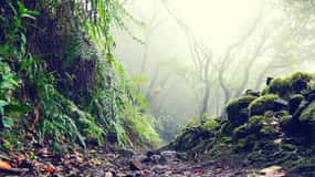 Tenerife: La Laguna & Anaga wandeling