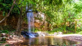 Shimba Hills Day Safari & Sheldrick Falls Hike Private Tour