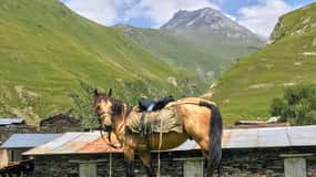 Brivido a Tusheti: Tour di 3 giorni con fuga in montagna a tempo limitato