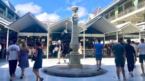 Excursão a pé pela cidade do Porto para conheceres a gastronomia, os vinhos e a cultura - max 8 pax