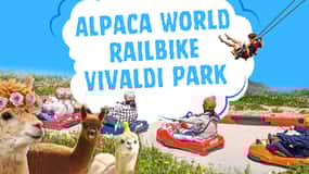 Seúl: Excursión al Mundo de la Alpaca, Railbike y Experiencia en el Parque Vivaldi