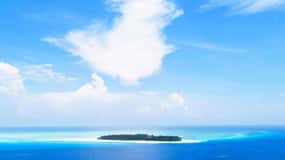 Mnemba Island, Pongwe Island, Jozani Forest Tour, The Rock